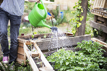 Gärtnern im Urban Garden